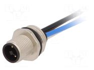 Connector: M12; socket; PIN: 4; male; IP67; cables; T code-Power LAPP