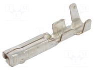 Contact; female; E-Seal 560,E-Seal 565; phosphor bronze; tinned EDAC