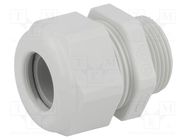 Cable gland; M25; 1.5; IP68; polyamide; light grey; UL94V-0; HSK-K HUMMEL