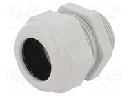 Cable gland; M32; 1.5; IP68; polyamide; light grey; UL94V-0; HSK-K HUMMEL