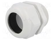 Cable gland; with long thread; M50; 1.5; IP68; polyamide; UL94V-0 HUMMEL