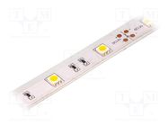 LED tape; white warm; 5050; 12V; LED/m: 30; 14.36mm; IP65; 120° LUCKYLIGHT
