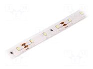 LED tape; white cold; 3014; LED/m: 60; 10mm; IP68; 120°; 6W/m; 12VDC LUCKYLIGHT