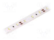 LED tape; white cold; 3014; LED/m: 60; 10mm; IP65; 120°; 6W/m; 12VDC LUCKYLIGHT