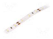 LED tape; white cold; 3014; LED/m: 60; 8mm; IP20; 120°; 6W/m; 12VDC LUCKYLIGHT