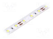 LED tape; white cold; 2835; 12V; LED/m: 60; 10mm; IP65; 120°; 12W/m LUCKYLIGHT