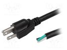 Cable; 3x14AWG; NEMA 5-15 (B) plug,wires; PVC; 3.5m; black; 15A LIAN DUNG