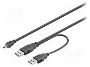 Cable; USB 2.0; USB A plug x2,USB B mini plug; 600mm; black; PVC 