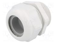 Cable gland; with long thread; M50; 1.5; IP68; polyamide; UL94V-0 HUMMEL