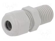 Cable gland; with long thread; M12; 1.5; IP68; polyamide; UL94V-0 HUMMEL