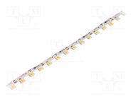 LED tape; white warm; 5050; 12V; LED/m: 60; 13mm; IP20; 14.4W/m Ledxon