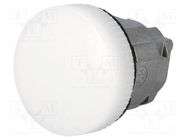 Control lamp; 22mm; Harmony XB4; -25÷70°C; Illumin: ZBV6; Ø22mm SCHNEIDER ELECTRIC