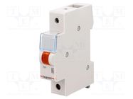 LED indicator; 230VAC; for DIN rail mounting; Colour: orange LEGRAND