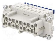 Connector: HDC; contact insert; female; 16A; 500V; Han® ES Press HARTING