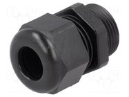 Cable gland; PG13,5; IP54; polyamide; black; UL94V-0; HSK-K HUMMEL
