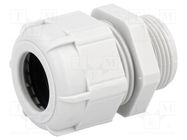 Cable gland; M25; 1.5; IP68; polyamide; grey; UL94V-2 BM GROUP