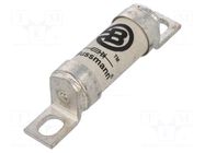 Fuse: fuse; 63A; 690VAC; 500VDC; ultra rapid; ceramic,industrial BUSSMANN