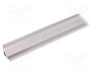 Profiles for LED modules; natural; L: 2m; CABI12; aluminium TOPMET