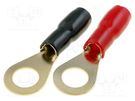 Terminal: ring; M8; 10mm2; gold-plated; insulated; red and black 4CARMEDIA