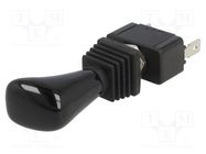 Switch: toggle; Pos: 3; SP3T; ON-OFF-ON; 6A/250VAC; R13-416; 50mΩ SCI