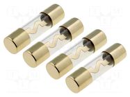 Fuse: fuse; 40A; glass; gold-plated; Conductor: gold ACV