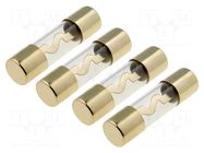 Fuse: fuse; 80A; glass; gold-plated; Conductor: gold ACV