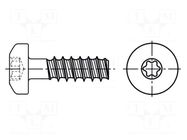 Screw; for plastic; 2.5x8; Head: cheese head; Torx® PLUS; 8IP BOSSARD