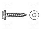 Screw; for wood; 4x25; Head: cheese head; Torx®; TX20; WIROX®; SPAX® BOSSARD