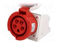 Connector: AC supply 3-phase; socket; female; 32A; 400VAC; IP67 PAWBOL