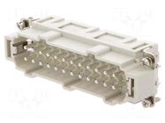 Connector: HDC; contact insert; male; S-EP; PIN: 24; 24+PE; size 24B MOLEX