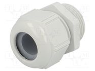 Cable gland; M25; 1.5; IP68,IP69K; polyamide; light grey; SKINTOP® LAPP