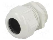 Cable gland; M32; 1.5; polyamide; light grey; SKINTOP® LAPP