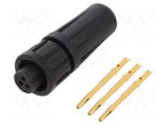 Connector: circular; plug; female; 6.5A; 125V; PIN: 3; EN2; soldering SWITCHCRAFT