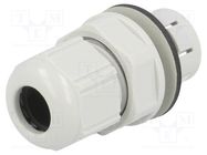 Cable gland; IP68; polyamide; light grey; push-in; SKINTOP® CLICK LAPP