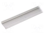 Profiles for LED modules; natural; L: 1m; WIDE24; aluminium TOPMET
