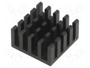 Heatsink: extruded; black; L: 33mm; W: 33mm; H: 10mm; aluminium FISCHER ELEKTRONIK
