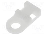 Holder; screw; polyamide; natural; A: 4.8mm; B: 9.5mm; C: 19.1mm HELUKABEL