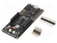 Dev.kit: Microchip ARM; Components: CEC1302; CEC MIKROE