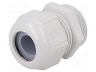 Cable gland; M32; 1.5; IP68,IP69K; polyamide; light grey; SKINTOP® LAPP