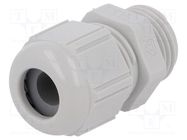 Cable gland; M16; 1.5; IP68,IP69K; polyamide; light grey; SKINTOP® LAPP