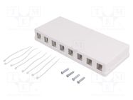 Case RJ45; socket; Keystone,unshielded; white; surface-mounted 