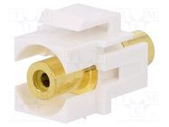 Socket; Transition: coupler; female x2; straight; gold-plated LOGILINK