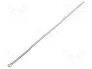Cable tie; L: 260mm; W: 4.6mm; acid resistant steel AISI 316; 445N RAYCHEM RPG