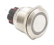 VANDAL RESISTANT SWITCH, DPDT, 5A/250VAC
