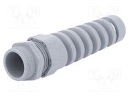 Cable gland; with strain relief; PG21; IP68; polyamide; dark grey LAPP