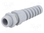 Cable gland; with strain relief; PG9; IP68; polyamide; dark grey LAPP