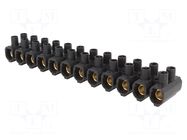 Connector: terminal block; 750V; screw terminal; black; polyamide SIMET