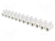 Connector: terminal block; 450V; screw terminal; Contacts: steel ELECTRO TERMINAL