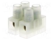 Connector: terminal block; 250V; with wire protector; natural BM GROUP