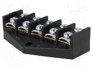 Terminal block; screw terminal; 10mm2; 400V; ways: 5; terminals: 10 PLASTROL